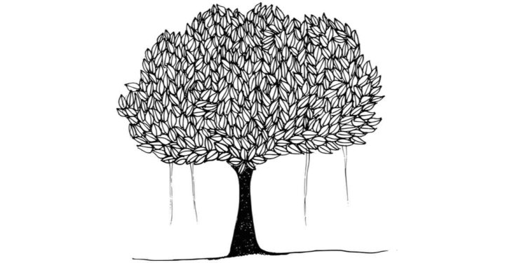 The Striders 1 the-striders