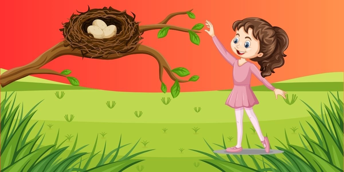 Nina and the Nest Surprise